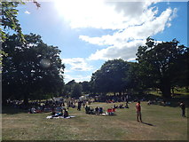 TM1645 : Christchurch Park music day 2017 by Hamish Griffin