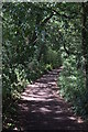 Byway towards Pannells Ash Farm