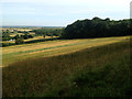 SK7731 : Looking down the Vale of Belvoir from Stathern Wood by Kate Jewell