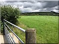 Sunshine and Storm Clouds