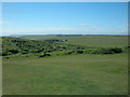 Land use change from the South Downs Way to Hodcombe Farm