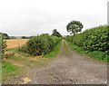ST5330 : Farm track, south of the B3153 by Roger Cornfoot