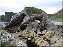 D0244 : Arched rock, Ballintoy Demesne by Kenneth  Allen