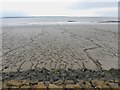 ST4082 : Mudflats at low tide by Eirian Evans