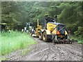 NY7282 : Track maintenance vehicles in Wark Forest by Graham Robson