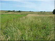 SE0028 : Wadsworth FP74 through long grass, Chiserley by Humphrey Bolton