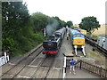 Train arriving at North Weald station