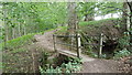 Footbridge and path in Stanhope Dene