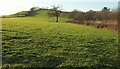 Field near Watergate Bridge