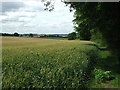 TL4336 : Footpath Looking South by Keith Evans
