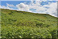 Hillside north of Camustiel