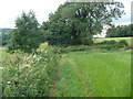 Footpath from Hammonds Farm to Wades Lane