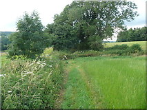 SO8507 : Footpath from Hammonds Farm to Wades Lane by Humphrey Bolton