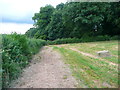 Footpath from Hammonds Farm to Wades Lane