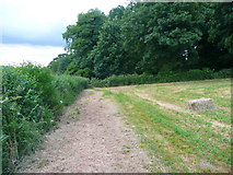 SO8507 : Footpath from Hammonds Farm to Wades Lane by Humphrey Bolton