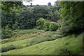 Combe below Croscombe Barton