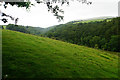 Combe above Bonhill Bridge