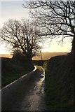 SS6123 : Lane to Brightley by Derek Harper