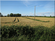 TL5065 : Fields by Bannold Road by Hugh Venables