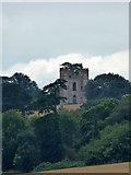 SX9684 : Powderham Castle Belvedere by Chris Allen