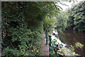 Path alongside the River Calder, Dewsbury