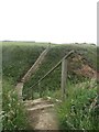 TA2369 : Steps on the Headland Way by Graham Robson
