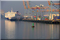 J3678 : Belfast Harbour, Victoria Terminals 3 and 4 by David Dixon