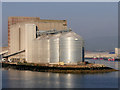 J3576 : Storage Silos at Belfast Harbour by David Dixon
