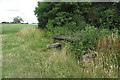 Trees and discarded trailers by the track to Falcutt