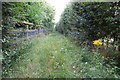 Bridleway towards Whitfield