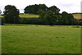 View across field north of Llanfrynach