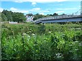 Footbridge over the Forth & Clyde Canal