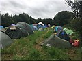 Tents at Maple Farm Nursery