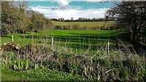 SP4124 : Meadow at Radford by Chris Brown