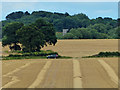 Farmland on the northern edge of Oadby