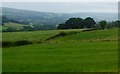 Agricultural land near Broadbottom