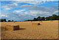 Farmland and bales on the eastern edge of Oadby