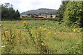 Coed Meyrick-moel Local Nature Reserve, Cwmbran - Summer