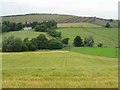 Crops at Glenholm