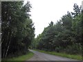 Minor road through Limekilns Wood