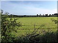 Field next to A6071 near Highberries Bridge