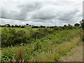 Hedges and fields next to A75 near Lowthertown