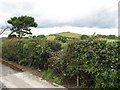 Tieveshilly Hill from the Temple Cooey road