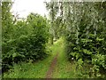 Footpath to Thorne Waste