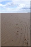 NU0844 : Footprints in the sand by Russel Wills