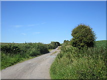 W9362 : Road near Ballywilliam by Jonathan Thacker