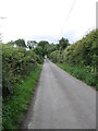 View South along Ballyquintin Road