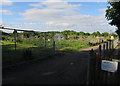 Allotments, Duxford