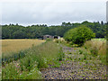 Disused farm buildings off Cherry Lane