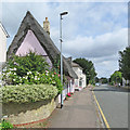 Great Shelford: summer blooms in the High Street